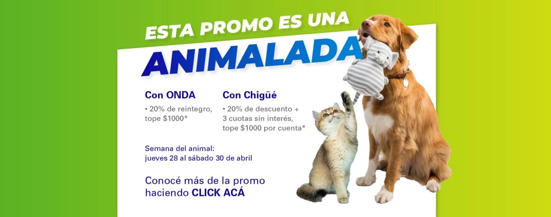  Día del Animal 
